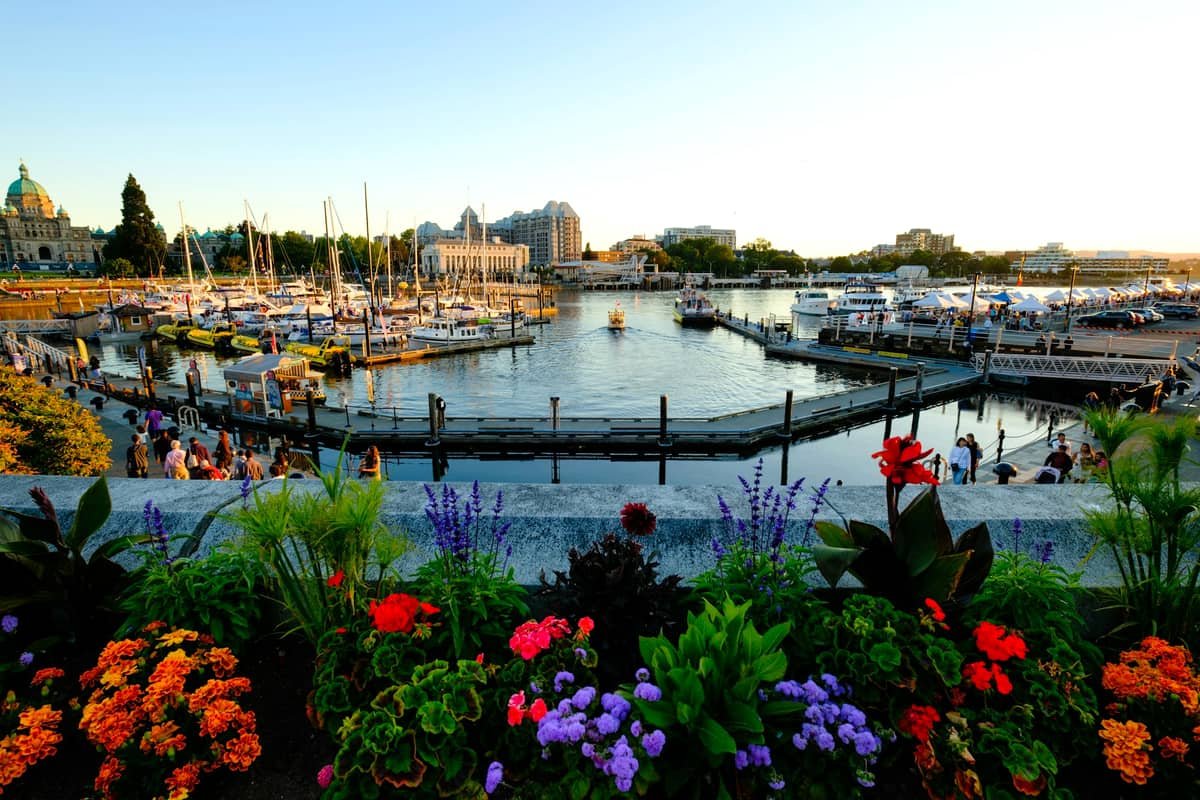 A harbor filled with lots of boats and lots of flowers in Victoria, British Columbia