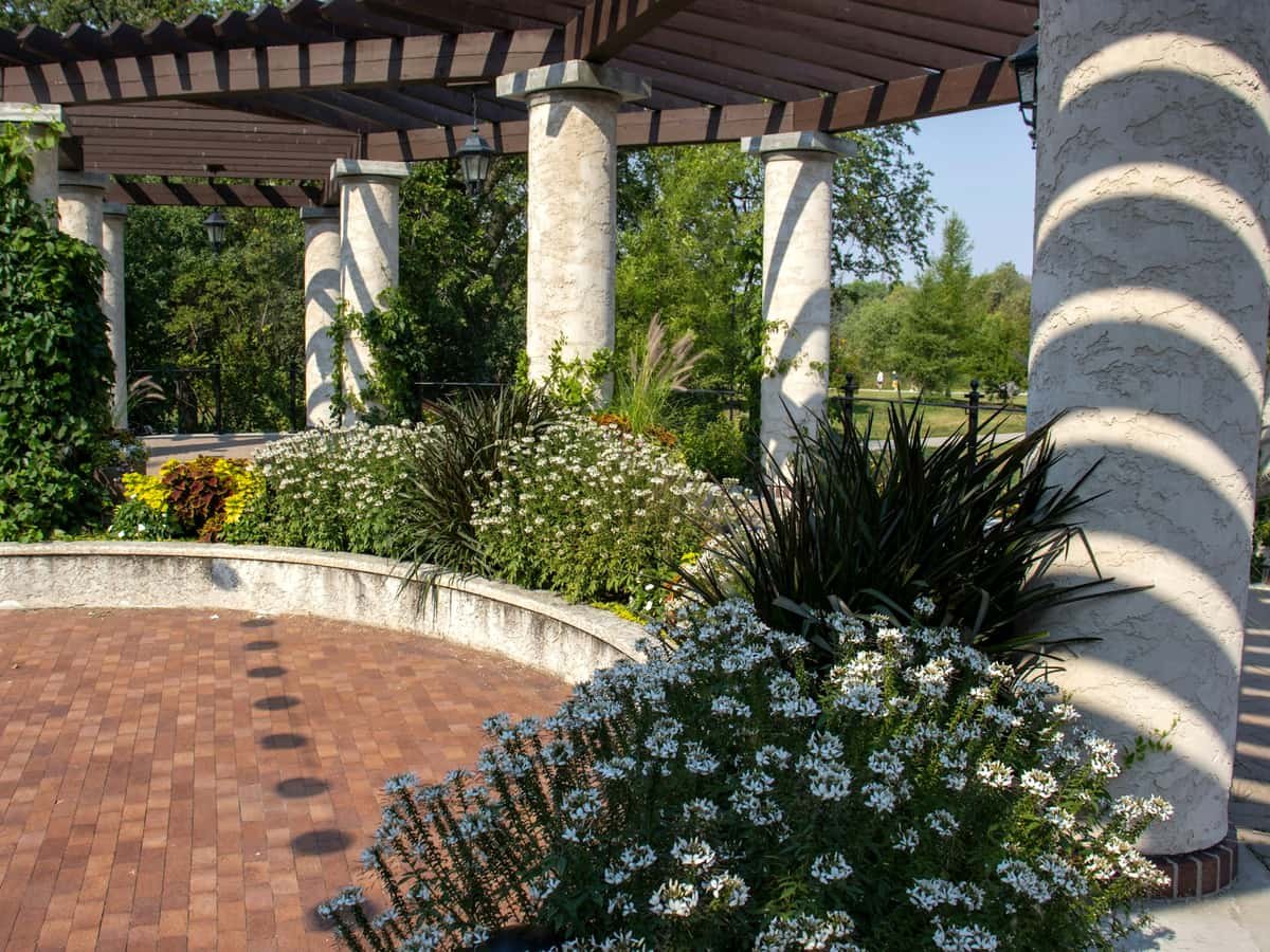 A brick patio with a pergolated roof and white flowers in the foreground: date idea in Manitoba