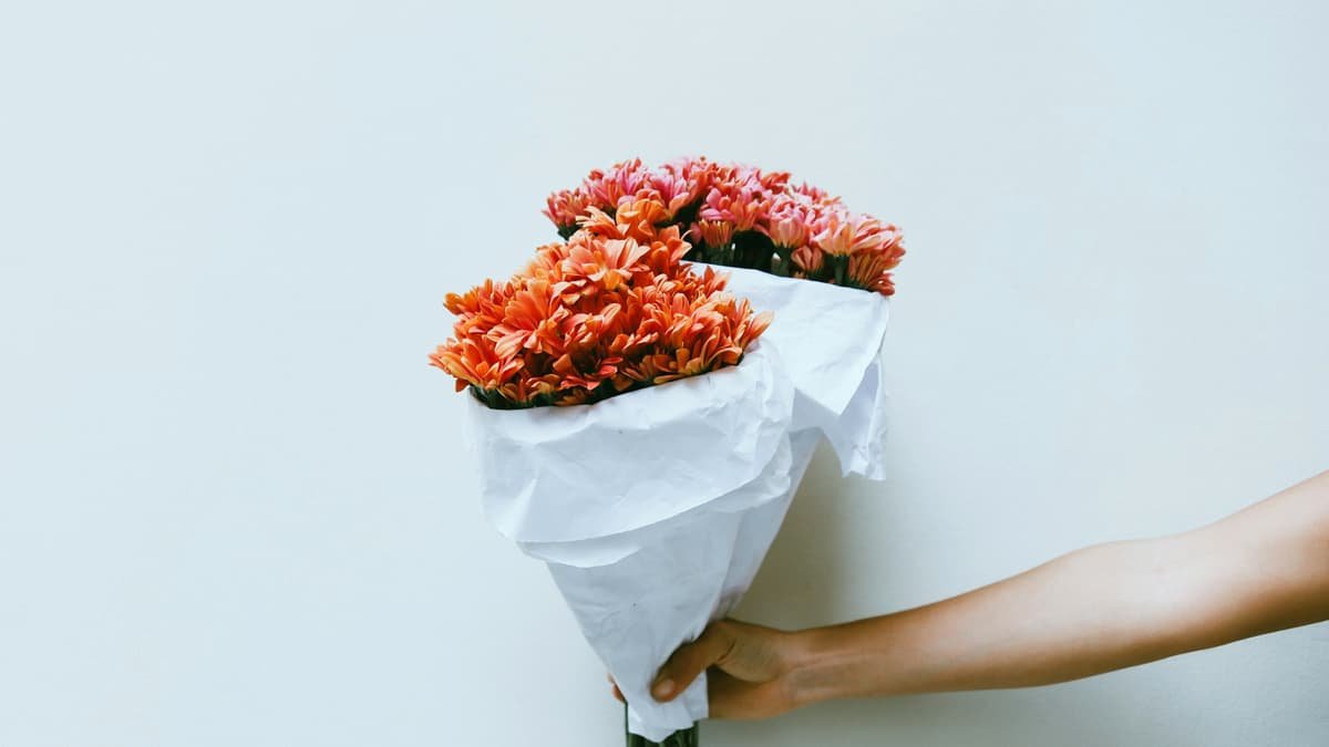 Person holding red petaled flowers, date night in Manitoba