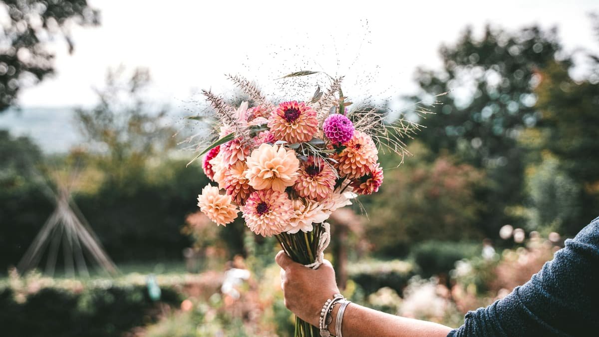 A person holding a bouquet of flowers in their hand, date night in New Brunswick