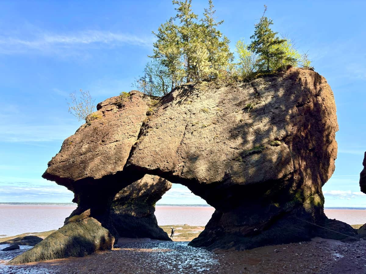 A large rock formation with trees on top of it: date idea in New Brunswick