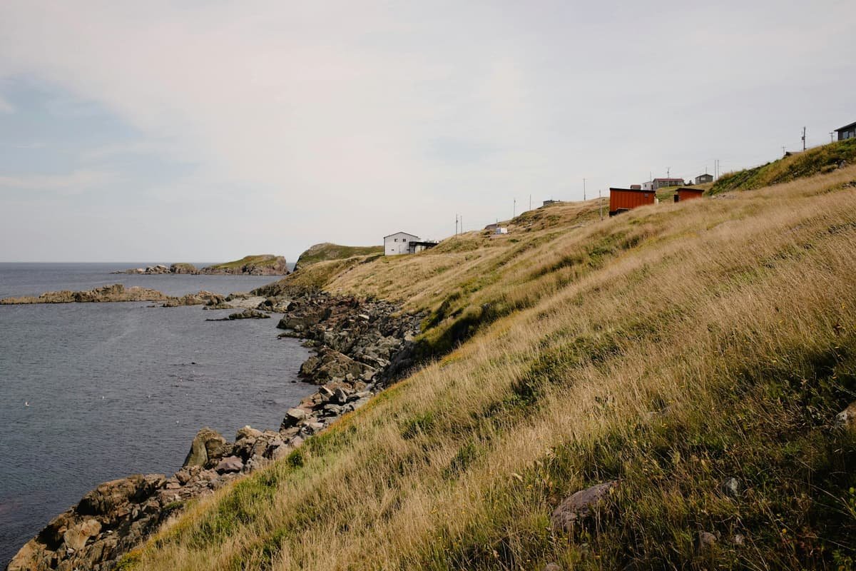 A grassy hill next to a body of water in Humber Arm and the Bay of Islands near Corner Brook, Newfoundland and Labrador