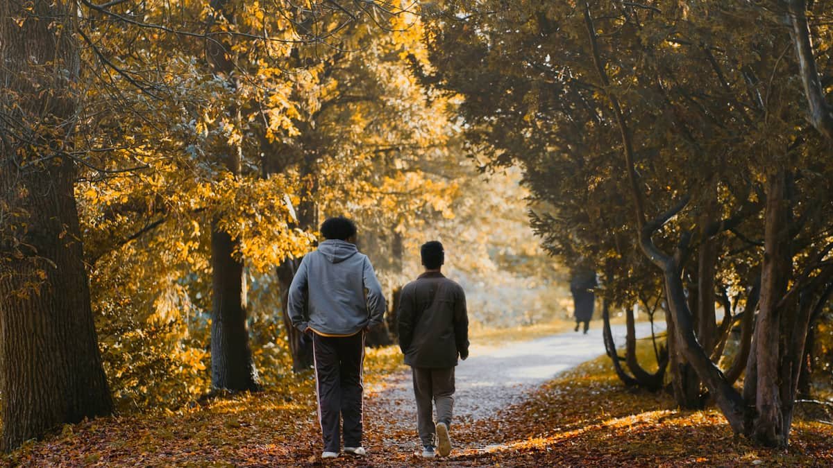 A couple of people walking on a path with trees on either side, date night in Newfoundland and Labrador