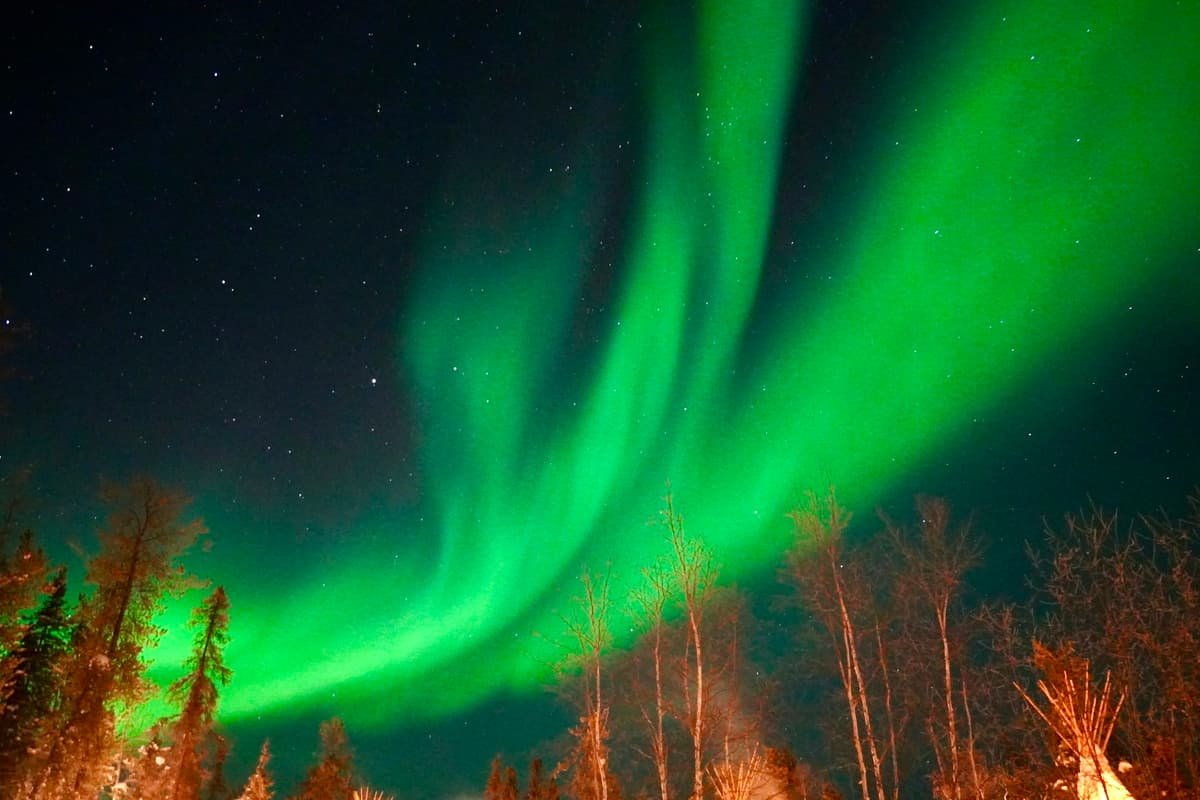 Green and blue sky with green trees in Midnight sun over the Mackenzie Delta near Inuvik, Northwest Territories
