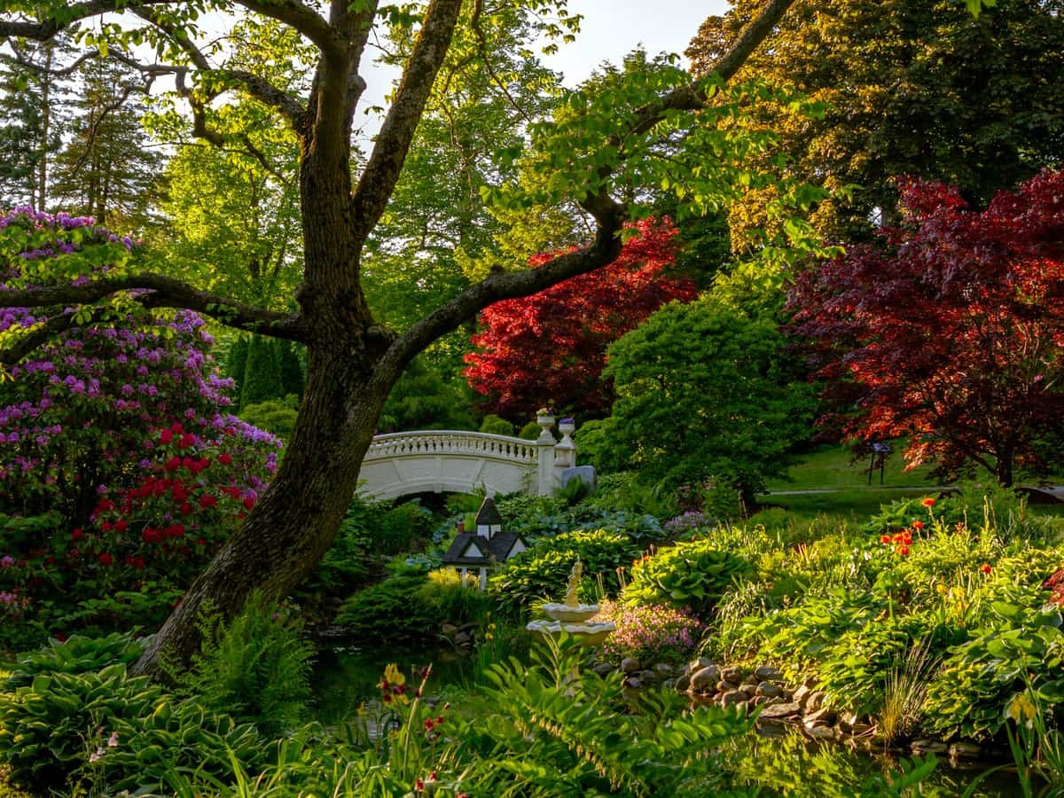 Red and green trees near white building during daytime: date idea in Nova Scotia
