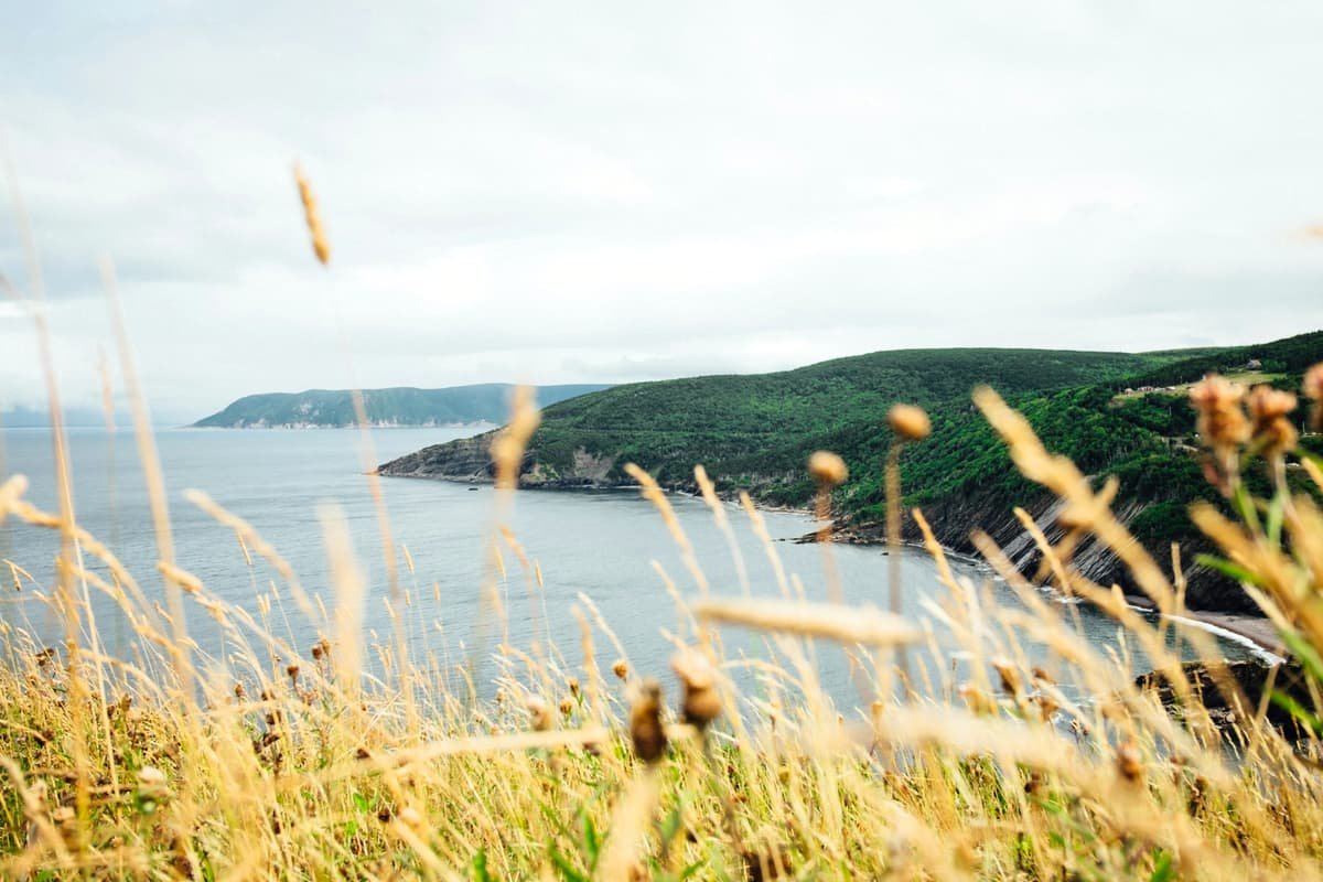 Mountain with green trees next to sea in Sydney, Cape Breton, Nova Scotia