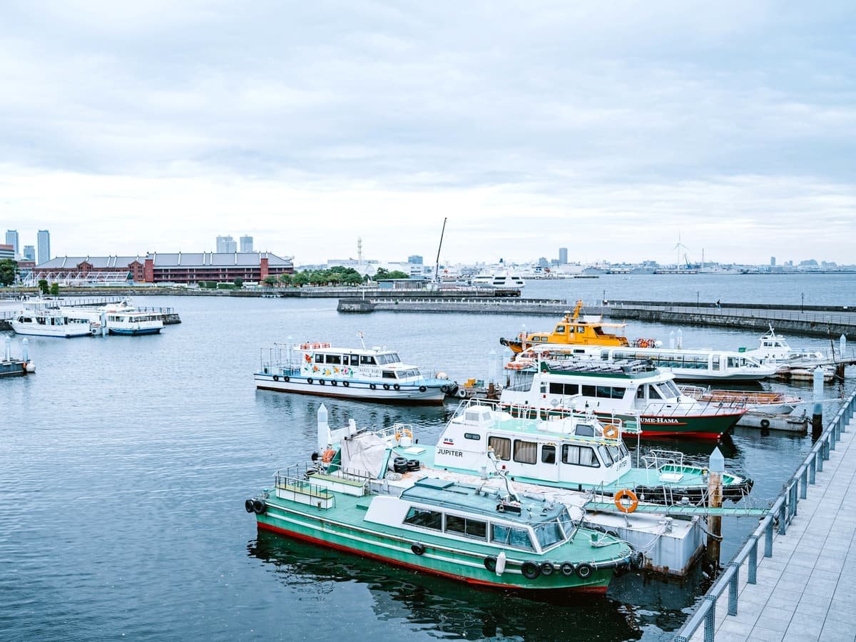 Boats docked in a harbor with city skyline in background: date idea in Ontario
