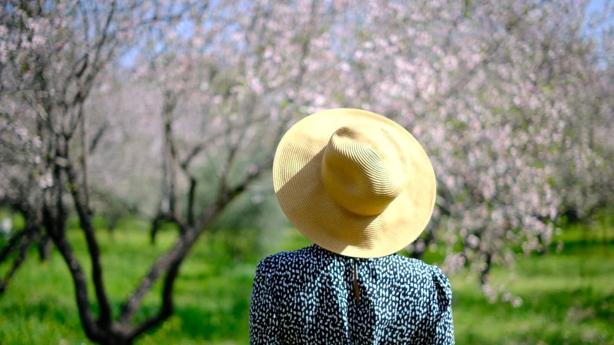 Woman in hat stands in blooming orchard, date night on Prince Edward Island