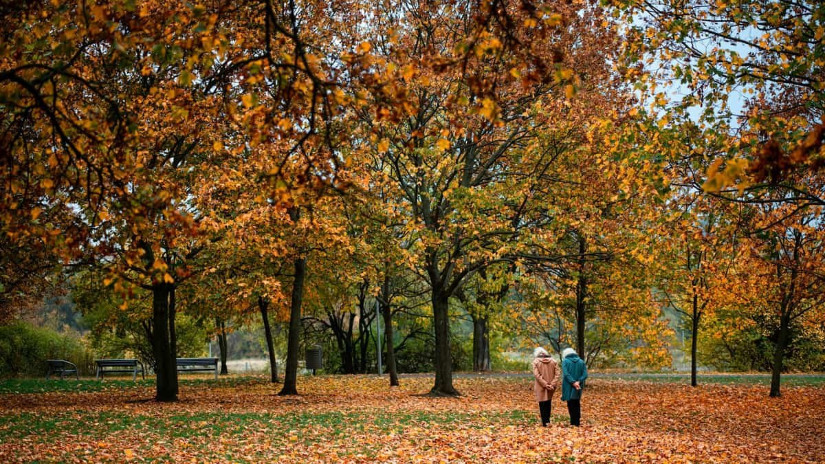 A couple walking in a park, date night on Prince Edward Island