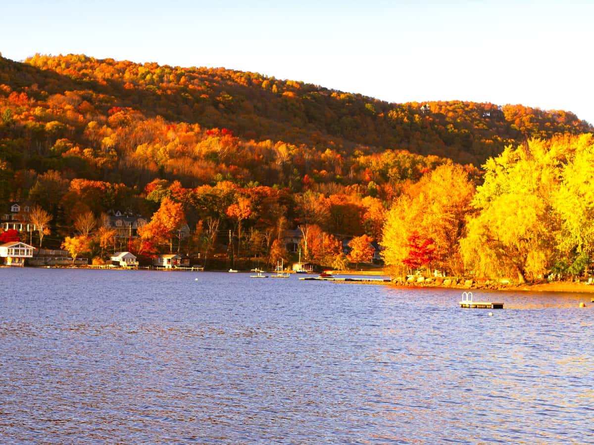 A body of water surrounded by lots of trees: date idea in Quebec