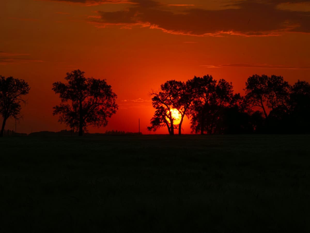 A fiery red sunset behind silhouetted trees on the horizon: date idea in Saskatchewan