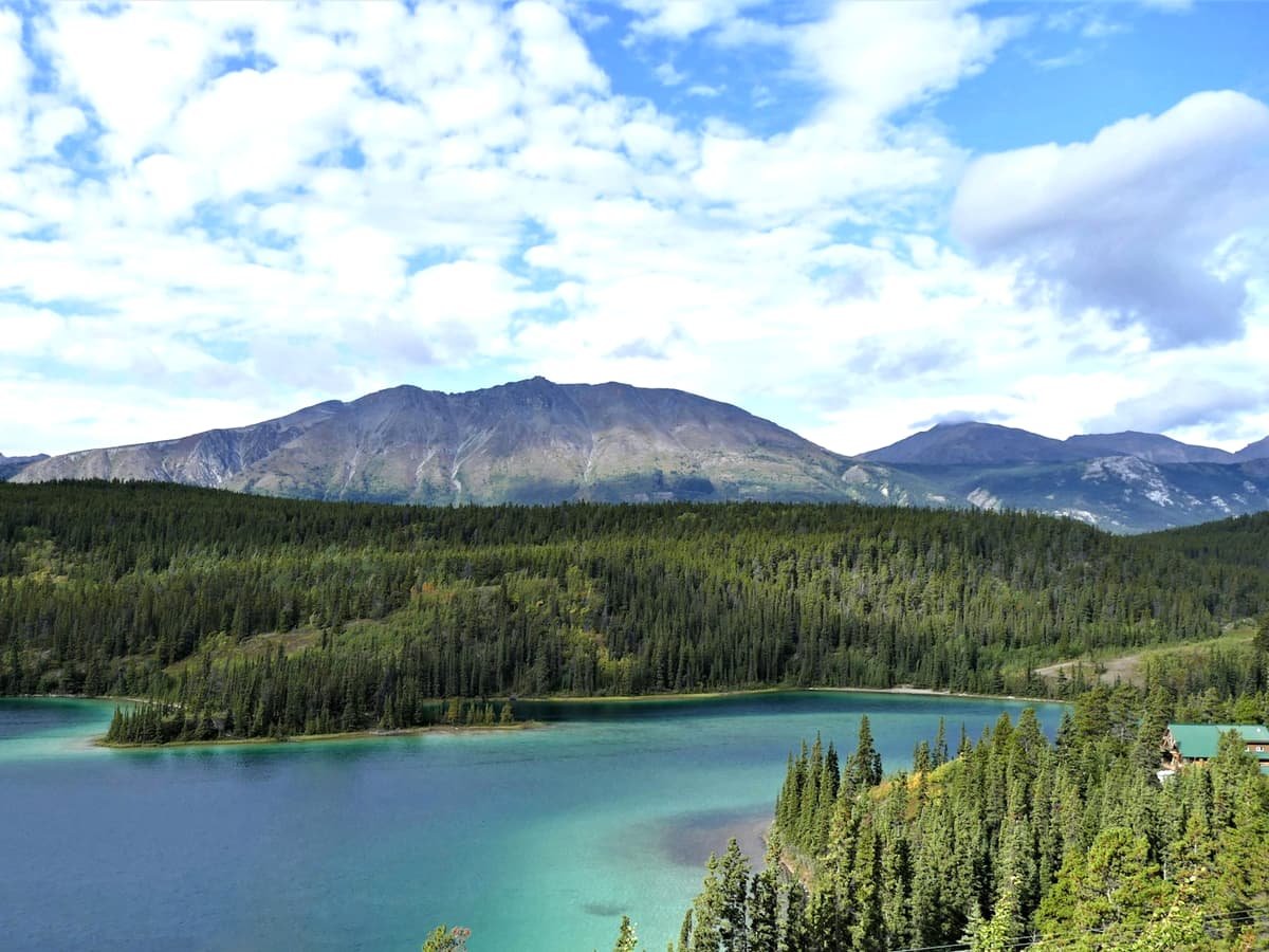 Green trees near lake under white clouds and blue sky during daytime: date idea in Yukon